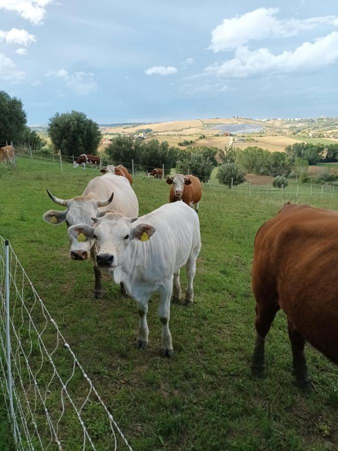 Casa Di Campagna Villa De Luca Bellante Exteriér fotografie