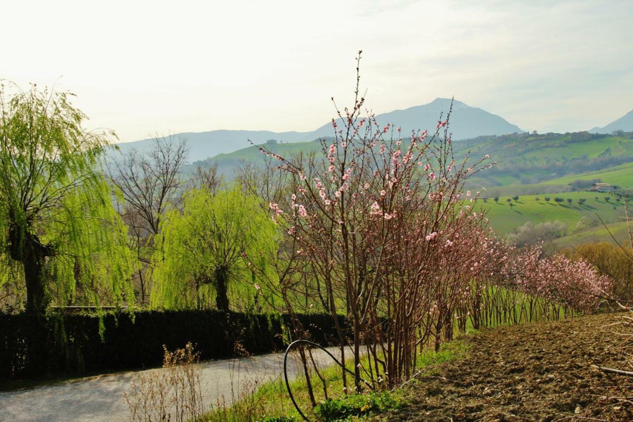Casa Di Campagna Villa De Luca Bellante Exteriér fotografie